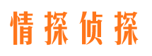 蓝山市场调查